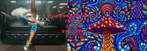 прущий лед Новозыбков