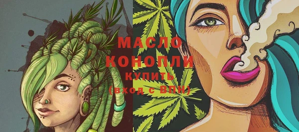 прущий лед Новозыбков